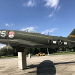 im_p47_preserv_br_001