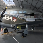 im_p47_preserv_br_004
