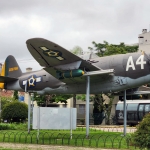 im_p47_preserv_br_005