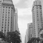 im_mon_mortosrj_009